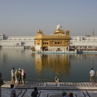 Gyllene Templet i Amritsar - The Harmandir Sahib