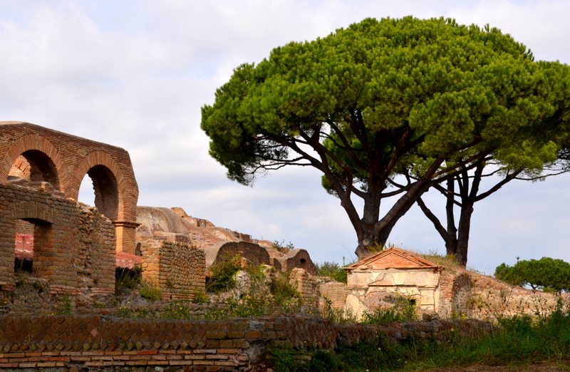 Trees and Ruins in Rome | Warden Spirits